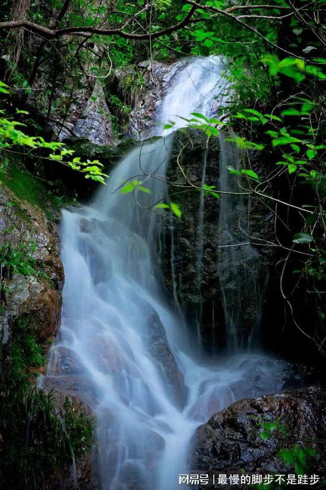 我想买不记名电话卡找谁